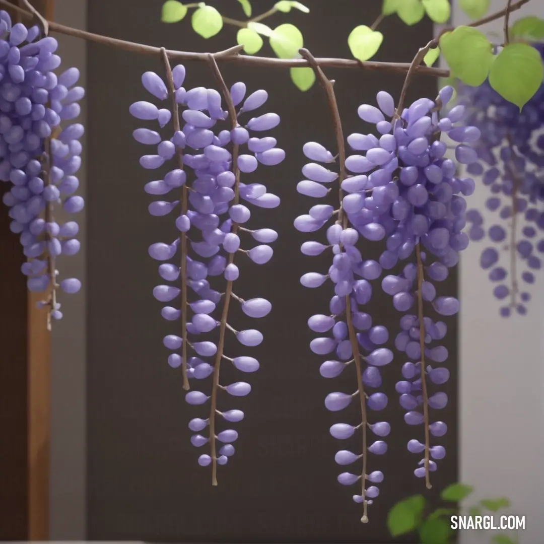 Bunch of purple flowers hanging from a tree branch with leaves on it's branches and a window in the background