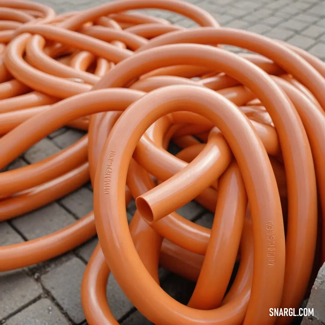 A vibrant collection of orange hoses sprawled across a textured brick sidewalk, each one inviting you to explore the outdoors. The bright color adds a playful touch, creating a contrast against the earthy tones of the bricks and surrounding greenery.