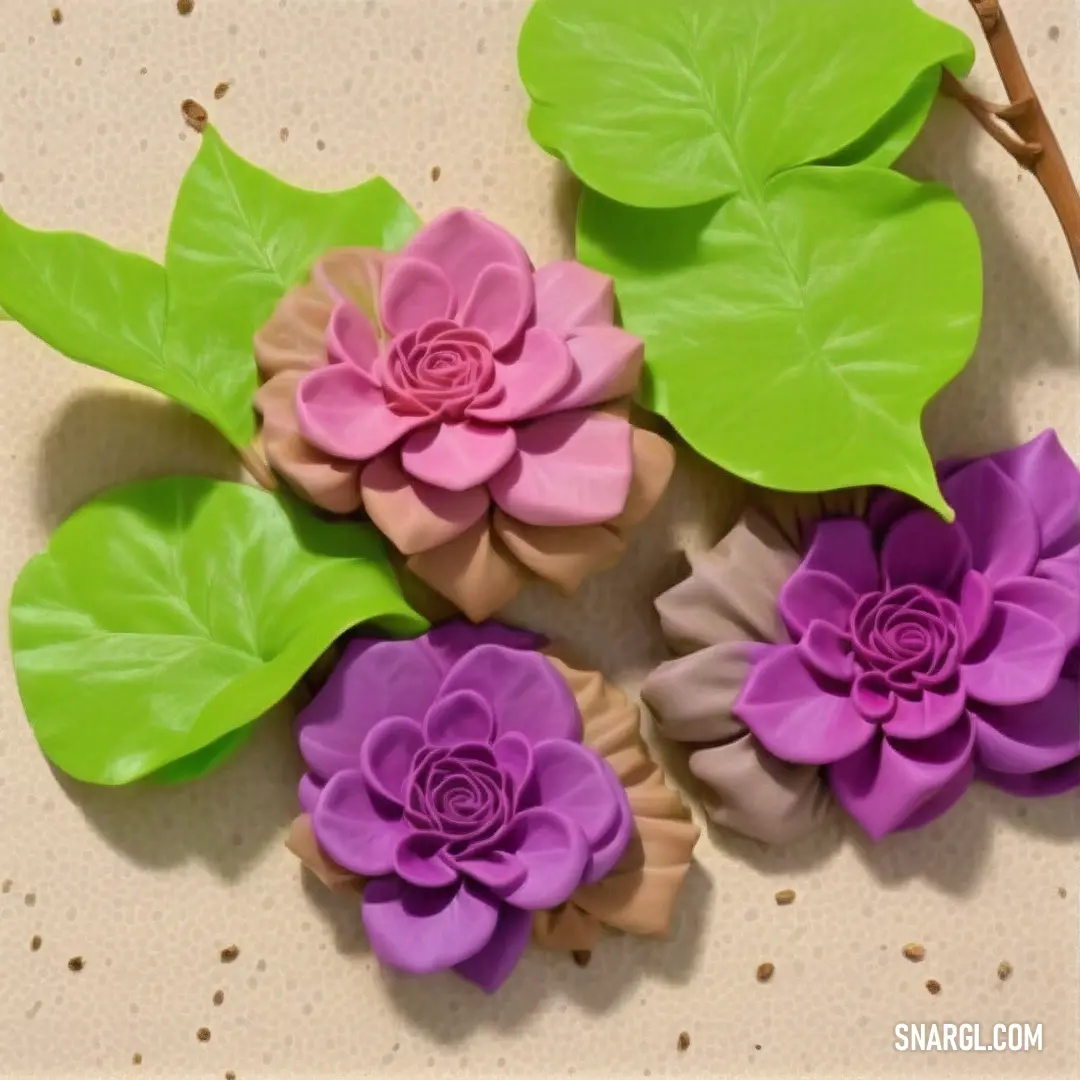 Group of flowers on top of a table next to leaves and twigs on a table top with a white background. Color CMYK 38,90,0,0.