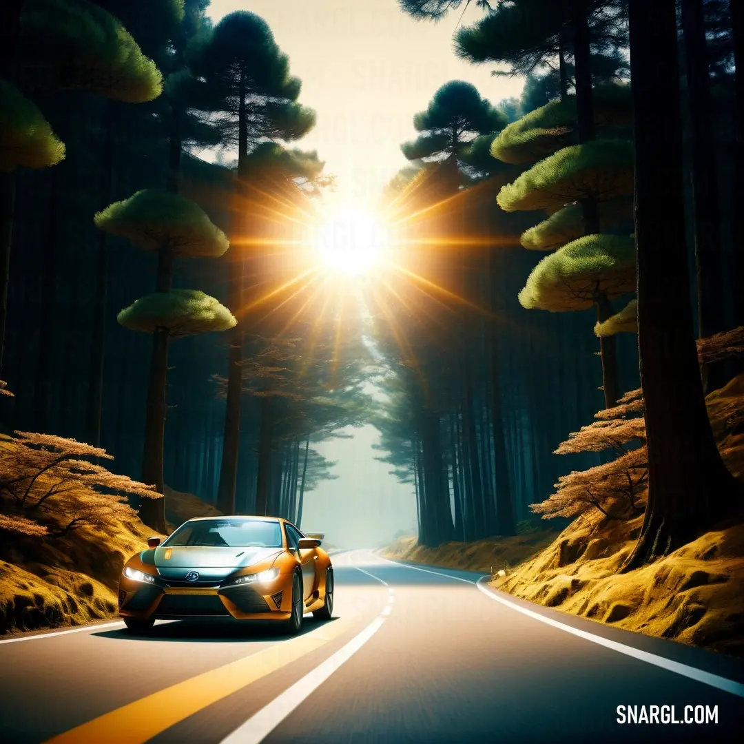 Car driving down a road in the middle of a forest with the sun shining through the trees and the road is lined