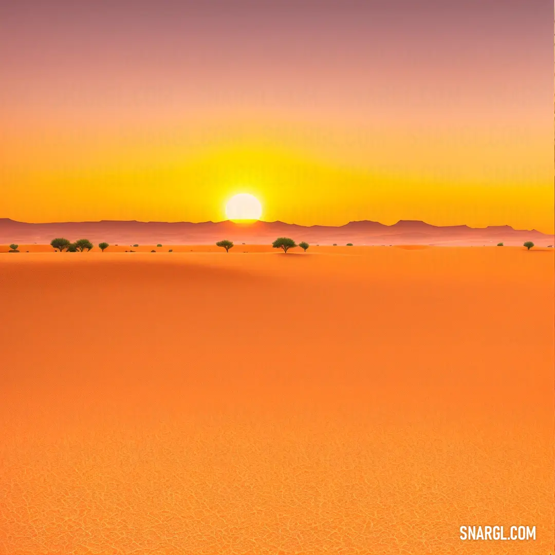 NCS S 2070-Y10R color example: Sunset over a desert with a lone tree in the foreground and a distant horizon in the background