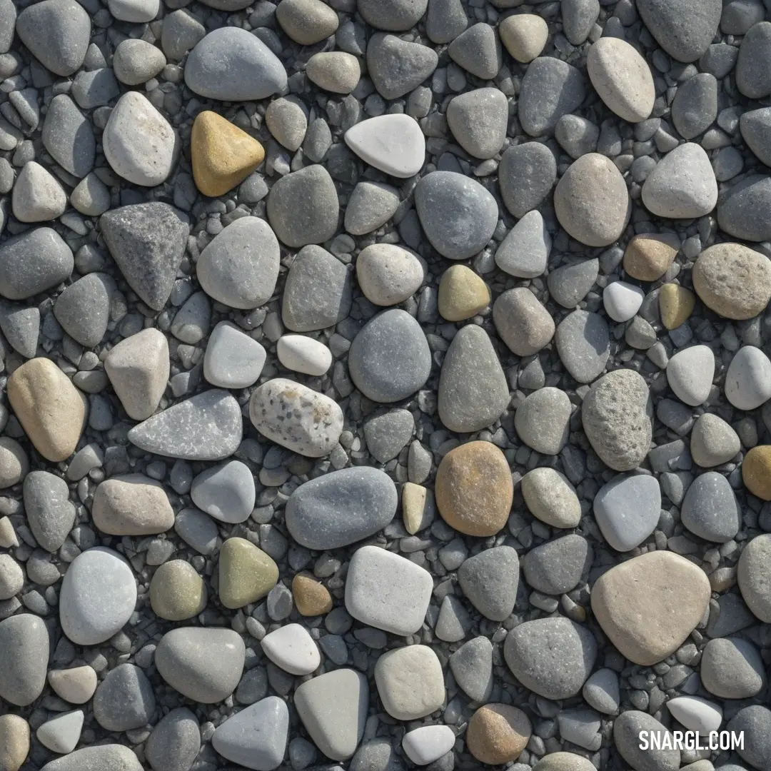 NCS S 2500-N color example: Bunch of rocks on a ground together and some are yellow and white