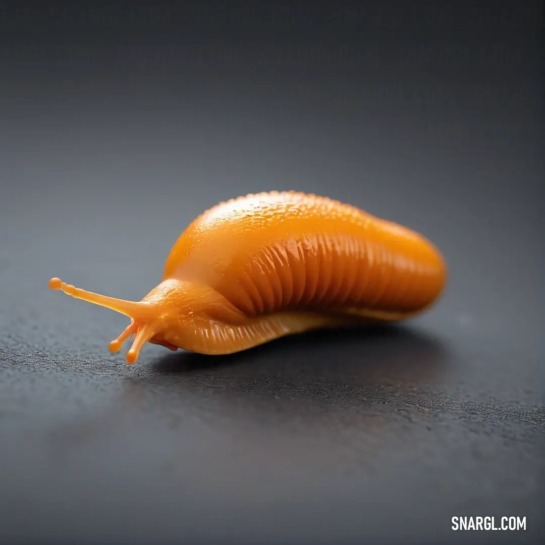 A whimsical toy slug lounges atop a sleek tabletop, framed by a striking black background, drawing attention with its vibrant color, inviting curiosity and playfulness to the viewer's imagination.