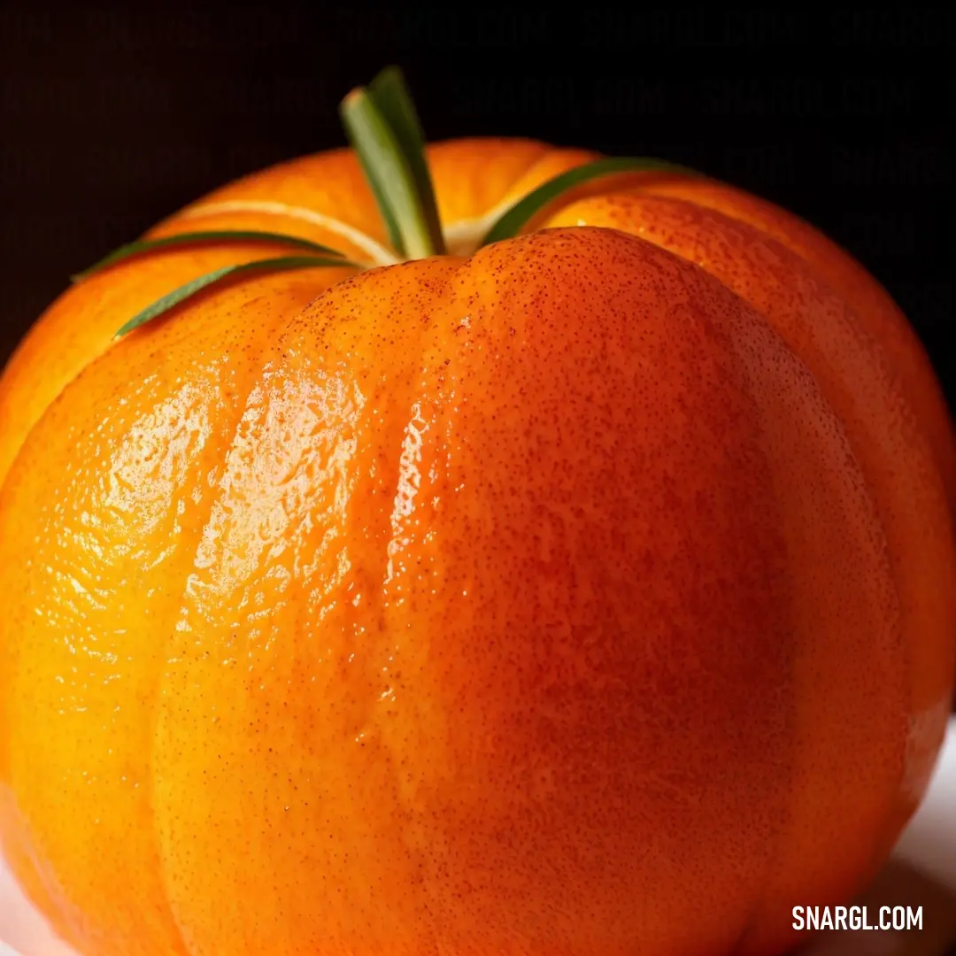 Close up of a orange on a plate on a table with a black background. Example of NCS S 2570-Y50R color.