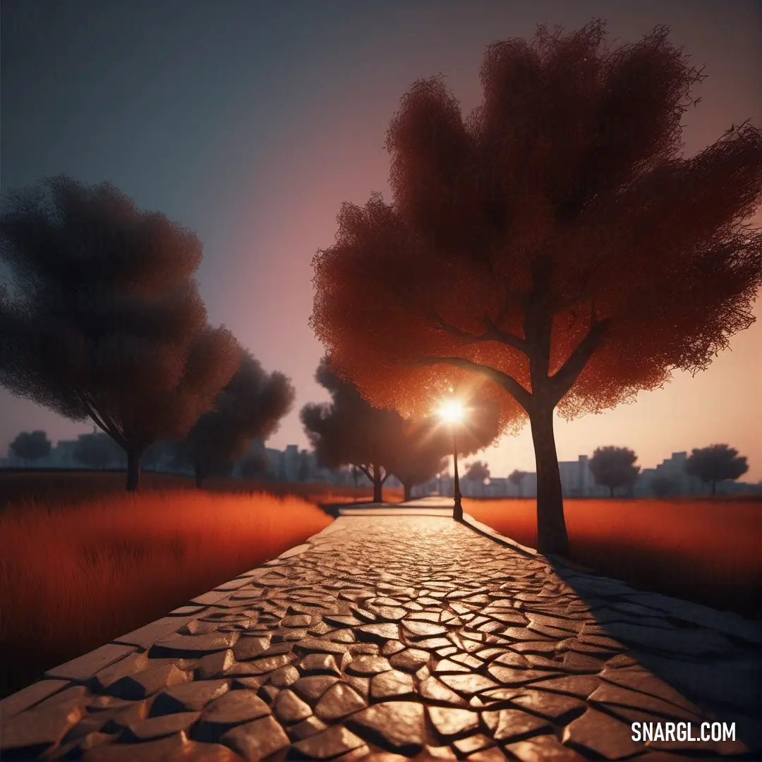 Person walking down a path with trees on either side of it at sunset or dawn with a sun setting behind them. Example of RGB 177,35,4 color.