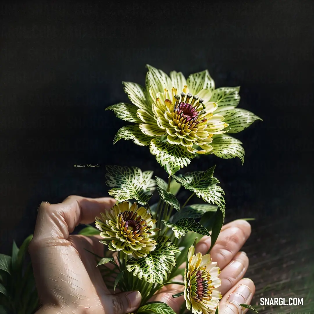 Person holding a bunch of flowers in their hands with a dark background. Color RGB 146,167,143.