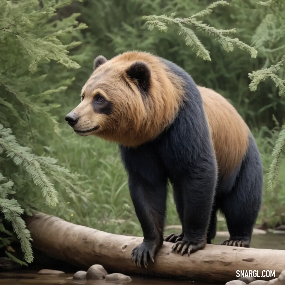 Bear standing on a log in a river near a forest area with rocks and trees in the background. Example of NCS S 3010-G30Y color.