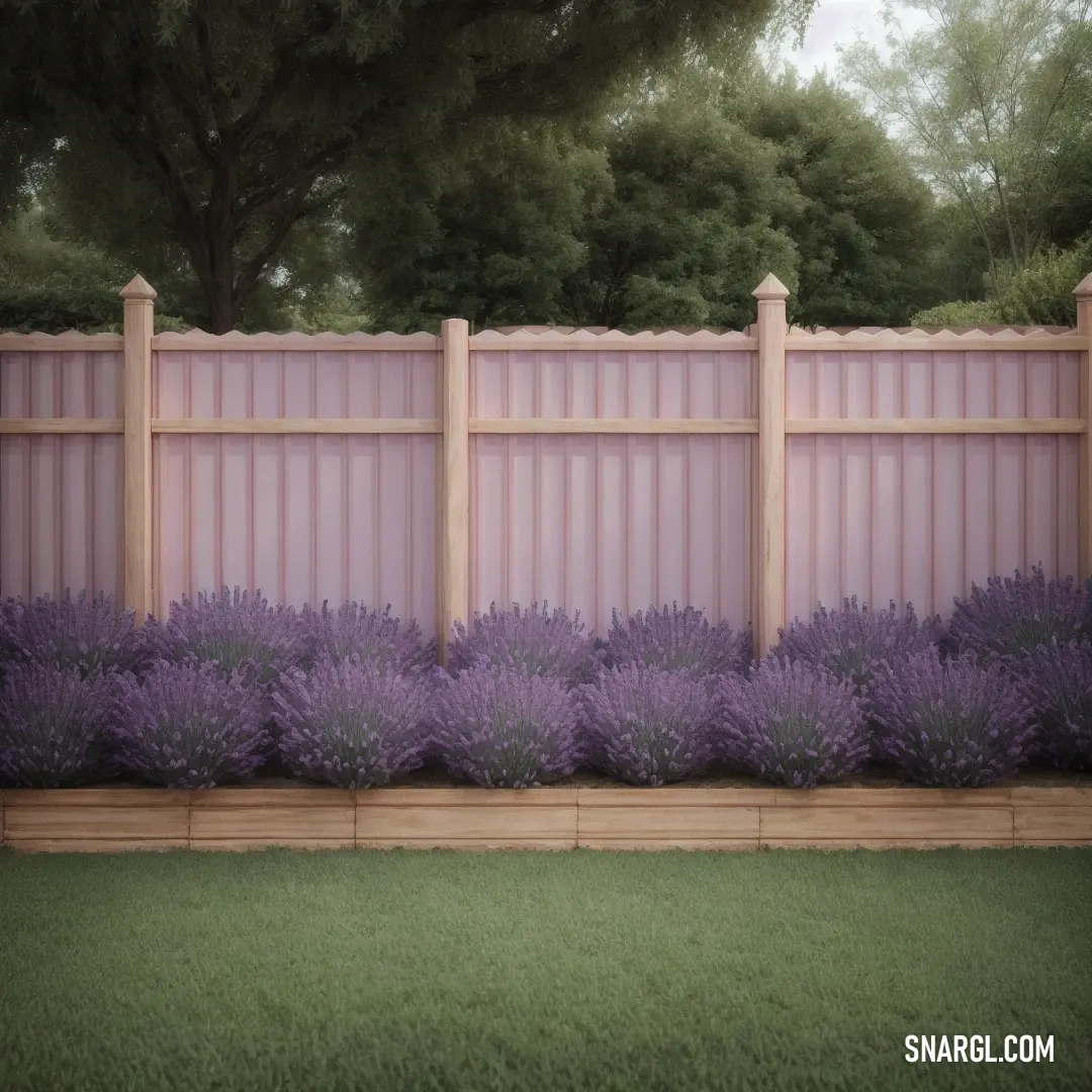 Fence with a row of lavender plants in front of it. Example of RGB 166,144,147 color.