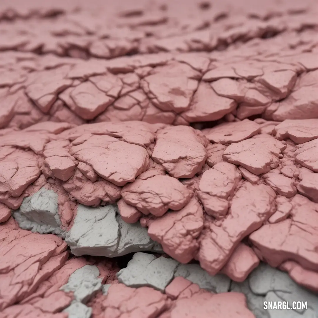 An artistic close-up of a captivating rock formation against a vibrant pink background, showcasing the stunning interplay of natural textures and colors that stir the imagination.