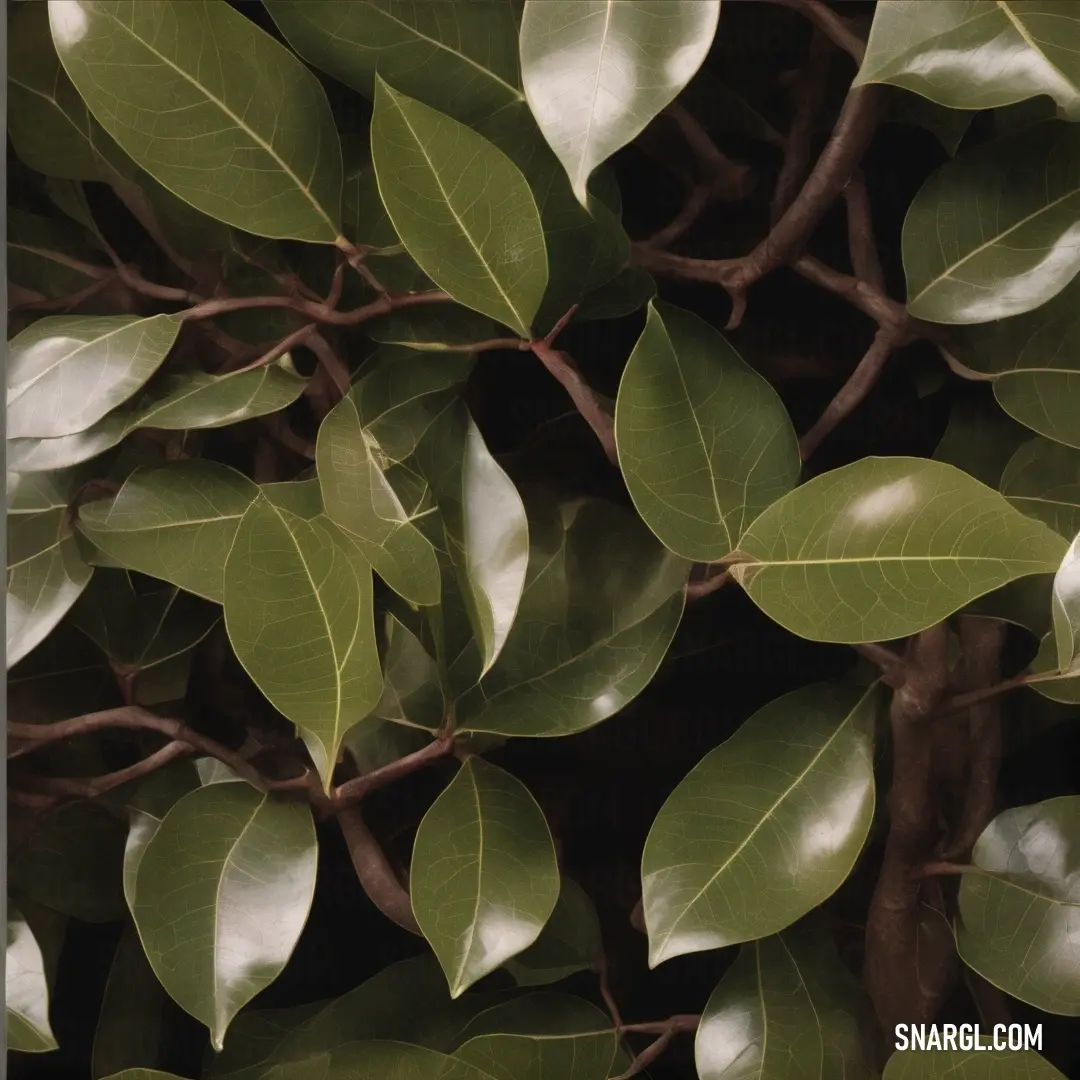 A serene close-up of a tree branch rich with green leaves and a bird perched gracefully, offering a tranquil glimpse into nature's beauty and peaceful moments.