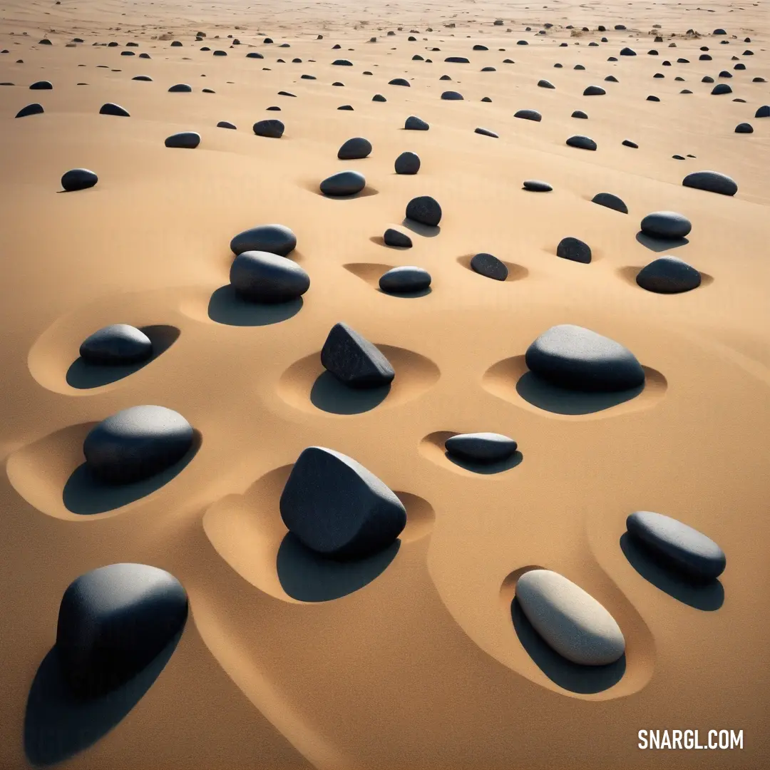 Group of rocks on top of a sandy beach next to the ocean with a sky background. Example of NCS S 3020-Y30R color.