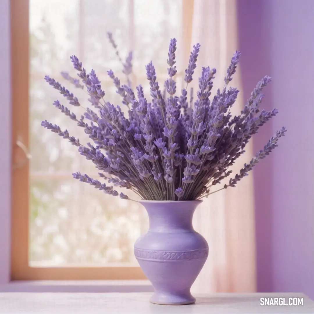 Vase with lavender flowers in it on a table next to a window with a curtain behind it. Example of RGB 128,101,182 color.