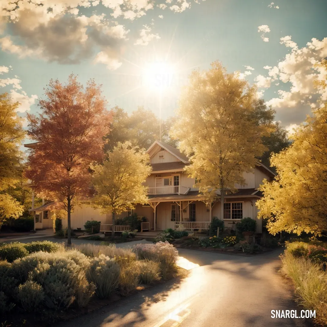 House with a driveway and trees in front of it. Color CMYK 0,30,75,30.