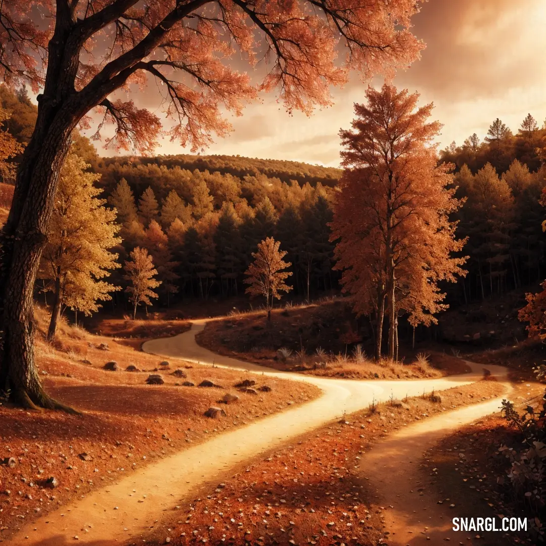Dirt road in the middle of a forest with a tree on the side of it and a dirt road in the middle of the middle. Color #BA663D.