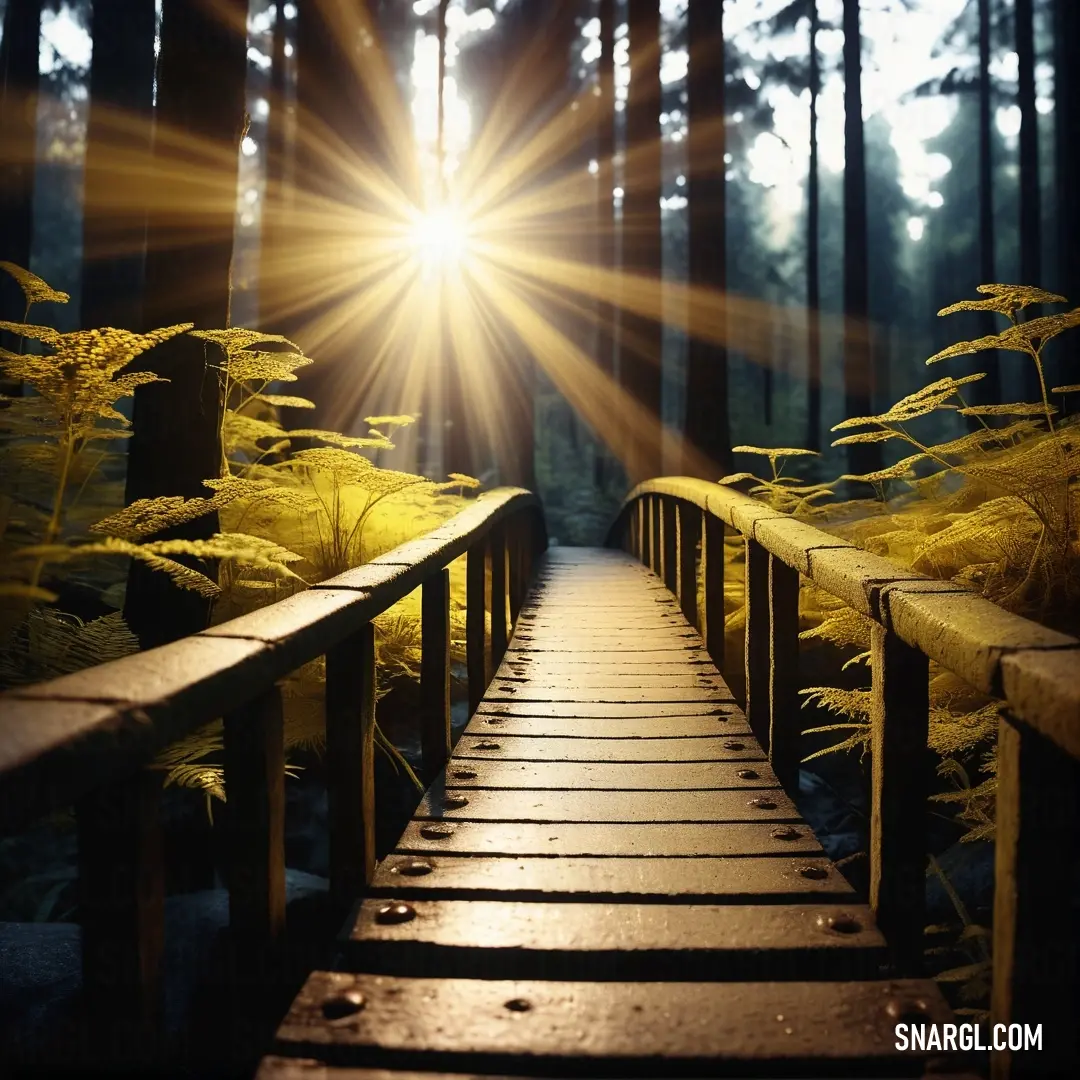 NCS S 3060-Y color. Wooden bridge with a bright sun shining through the trees in the background