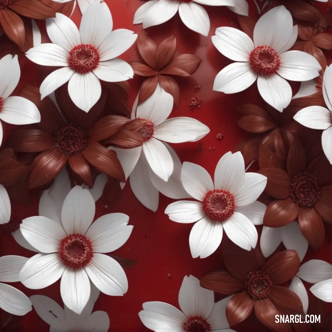 Bunch of white flowers on a red background. Color RGB 109,0,26.