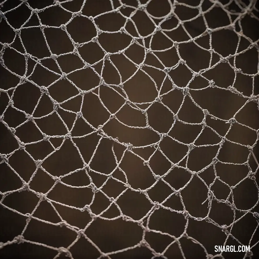 A delicate net adorned with glistening water droplets catches the light against a rich brown background. The intricate details reveal the beauty found in nature's simplicity, showcased in the subtle hues of NCS S 4020-R.