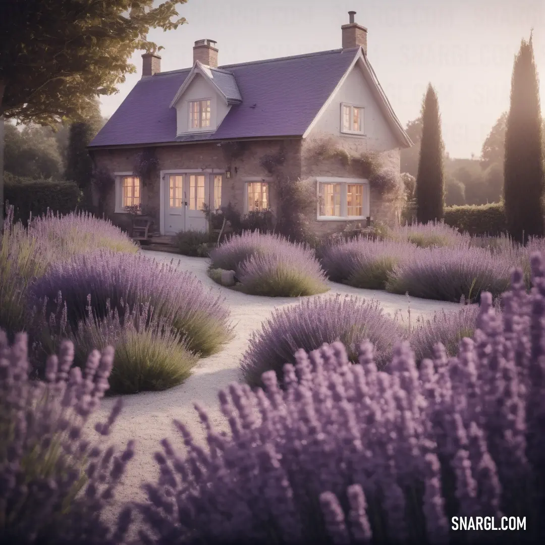 NCS S 4020-R10B color. House with lavender flowers in front of it