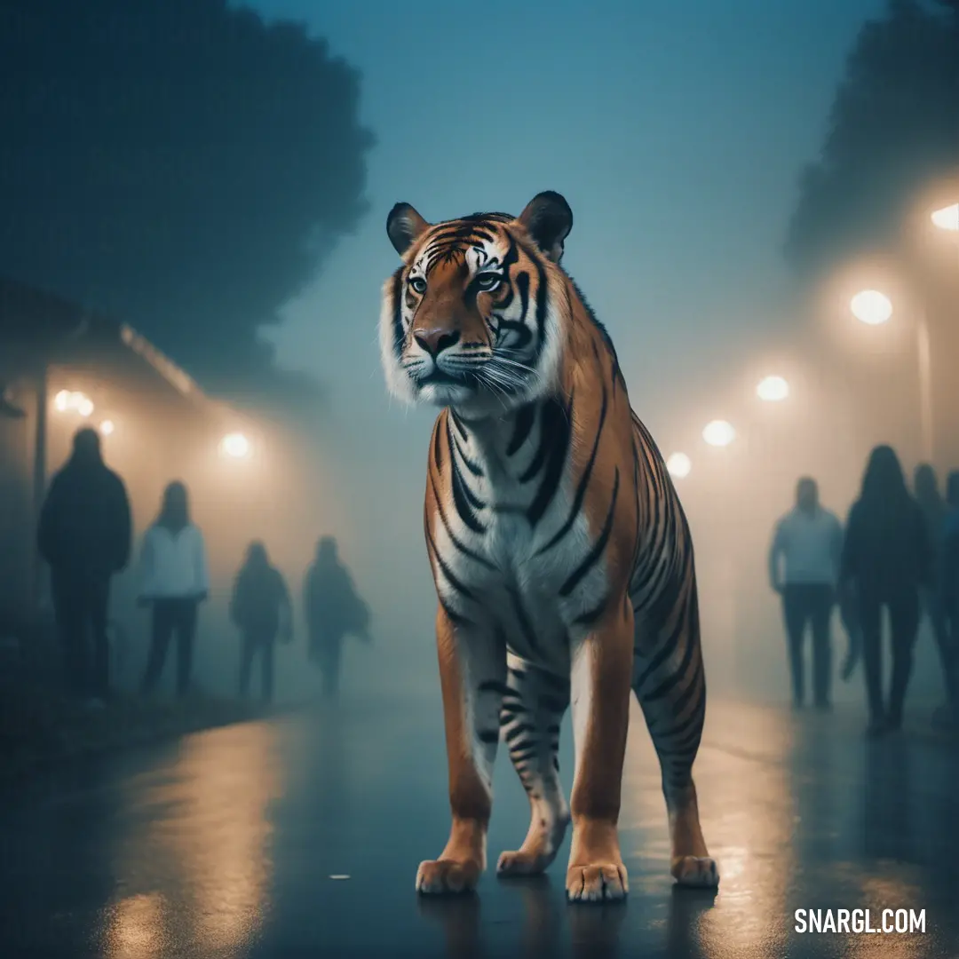 Tiger standing on a wet road at night with people walking by it and a street light in the background. Example of NCS S 4020-R90B color.