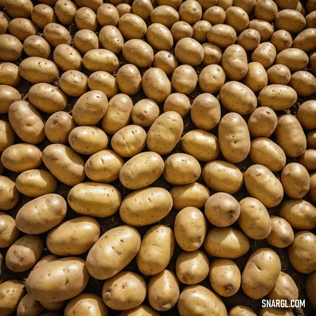 A rustic scene featuring a pile of freshly harvested potatoes neatly arranged on a table, accompanied by a sharp knife, hinting at preparation. The image captures the earthy tones and organic textures of this kitchen staple.