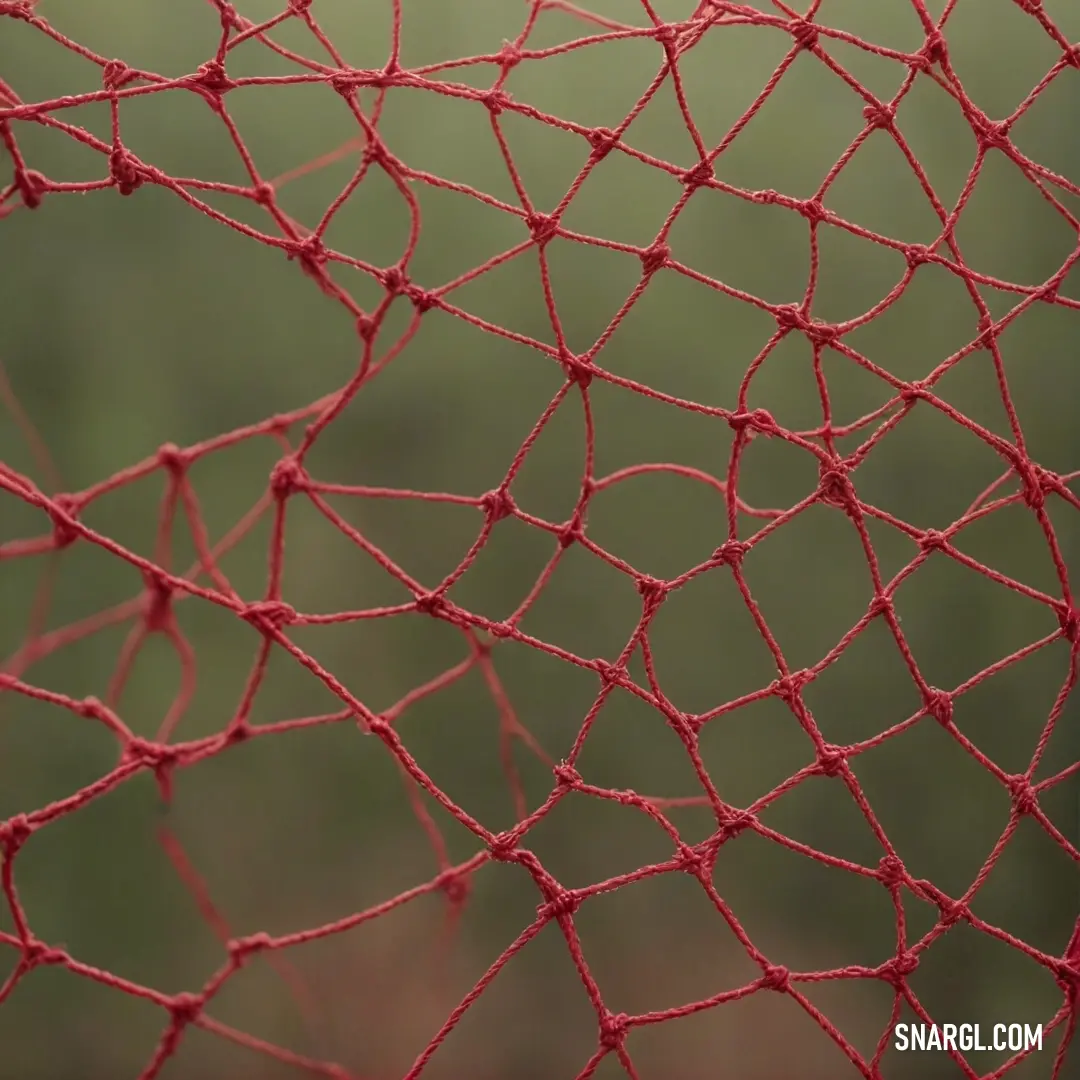 A charming red net drapes gracefully with a bird perched on its edge, complemented by a dreamy blurred background that encapsulates the enchanting RGB 147,77,51 color.