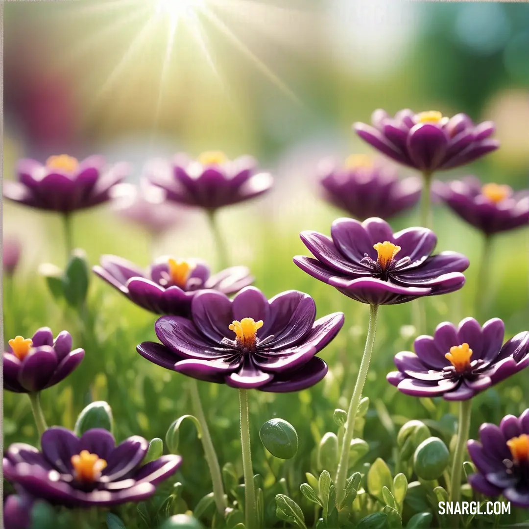 Field of purple flowers with a bright sun in the background. Color #7A2F6E.