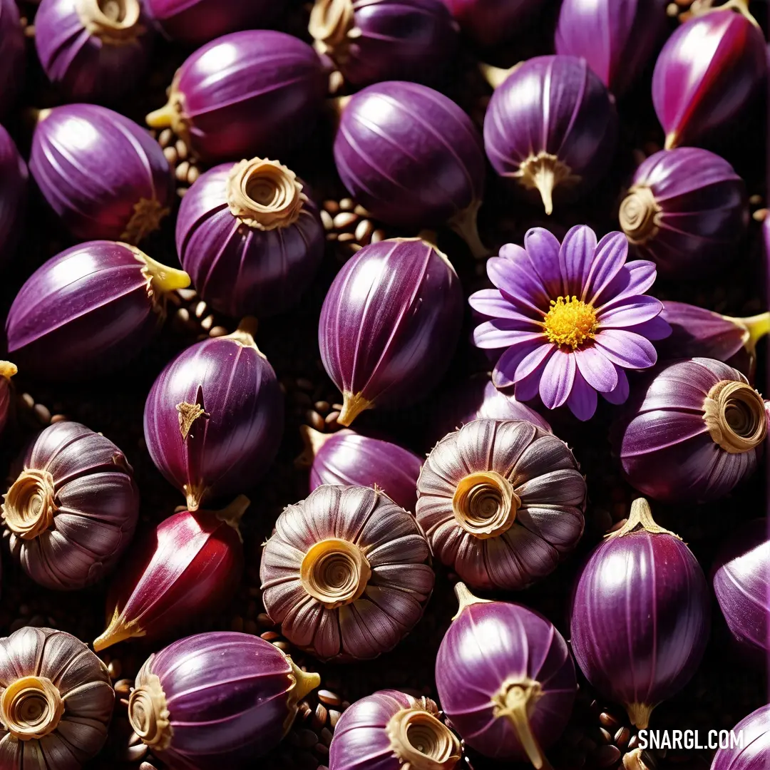 Bunch of purple onions with a flower on top of them in a pile of them in a pile. Color RGB 109,1,104.