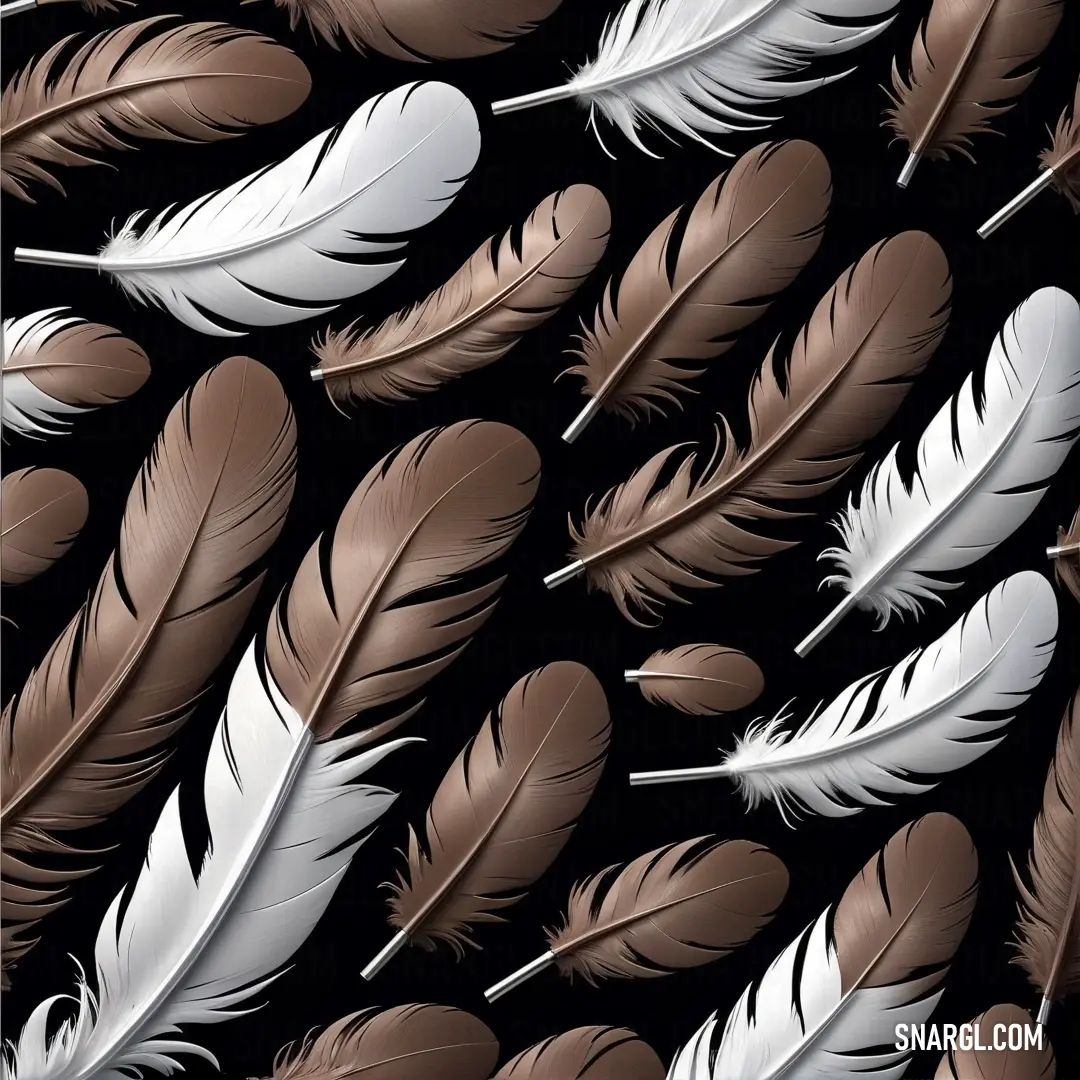 Bunch of feathers on a black background. Example of RGB 117,74,71 color.