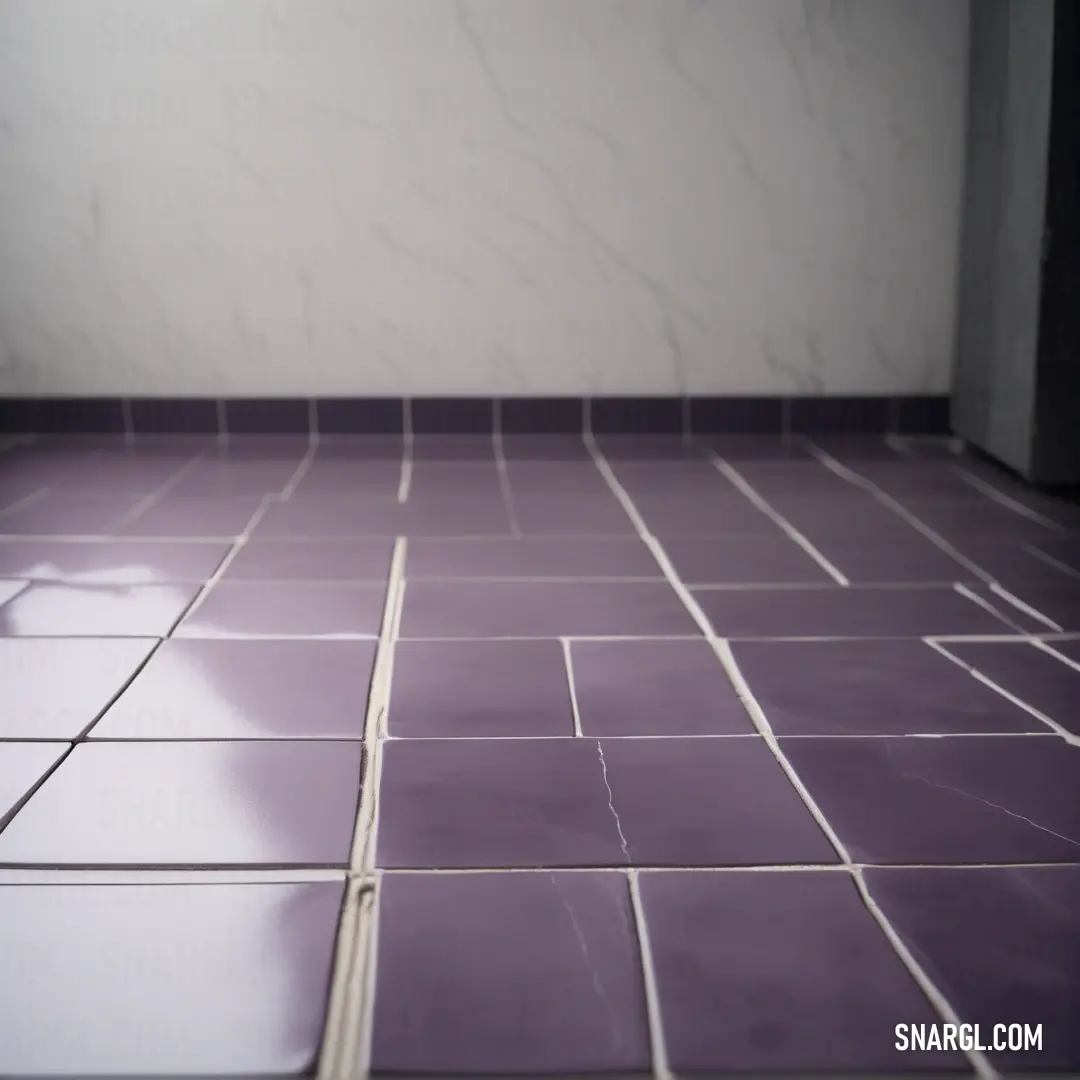 NCS S 5020-R50B color. Bathroom with a purple tile floor and a white wall behind it and a toilet in the corner of the room