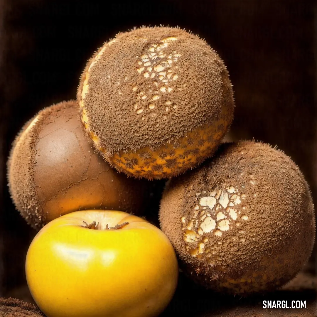 Close up of a fruit with a brown background. Color #725330.