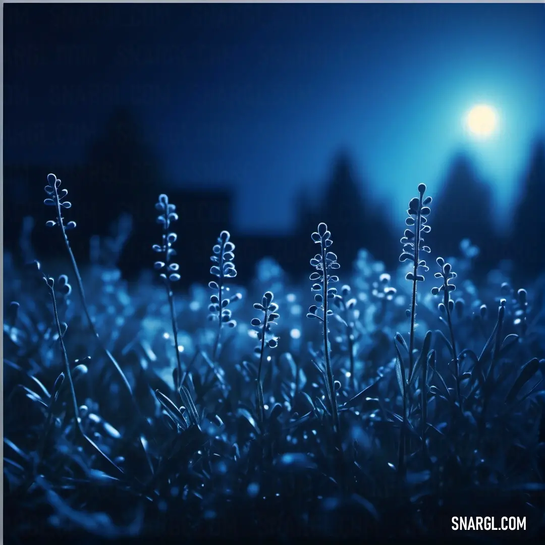 Field of grass with a full moon in the background. Example of #0F1E53 color.