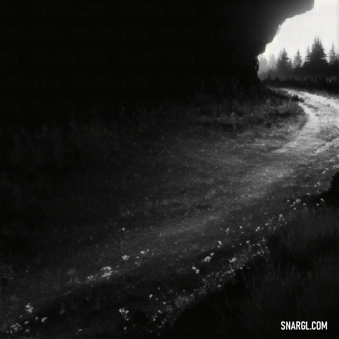 Black and white photo of a dirt road at night with a light shining on the road and trees. Example of NCS S 8005-R80B color.