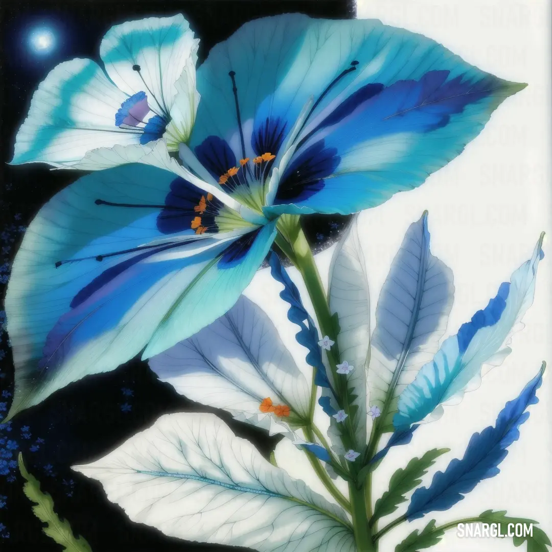 Blue flower with white and blue petals and leaves on a black background with a blue