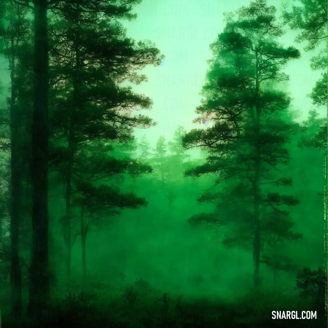 Painting of a forest with green fog and trees in the background