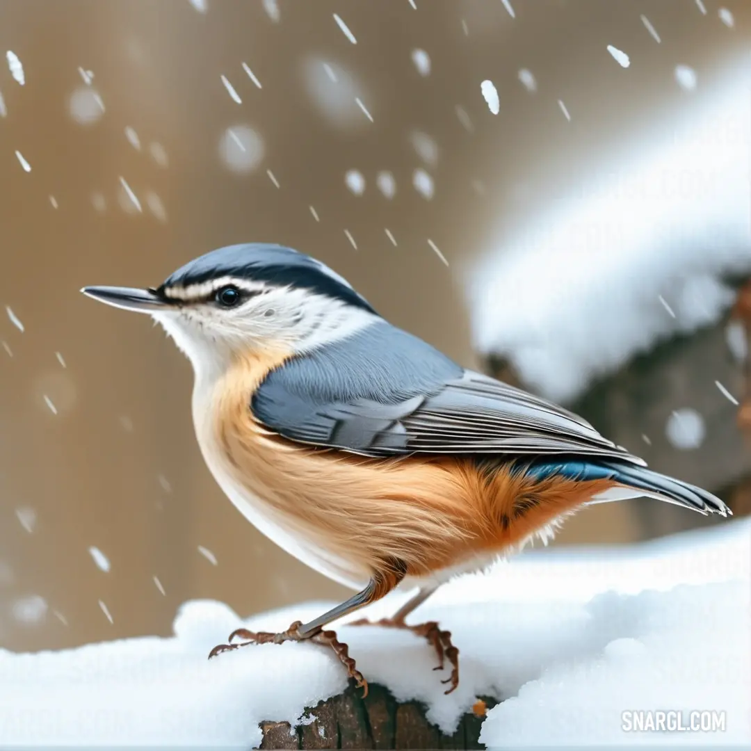 A nuthatch perched on a snowy branch with delicate snowflakes falling, as a warm house creates a picturesque winter scene in the background. A nuthatch clings to a snowy tree branch, surrounded by gentle snowfall. In the background, a cozy house peeks through the trees, adding a peaceful charm to the winter landscape.