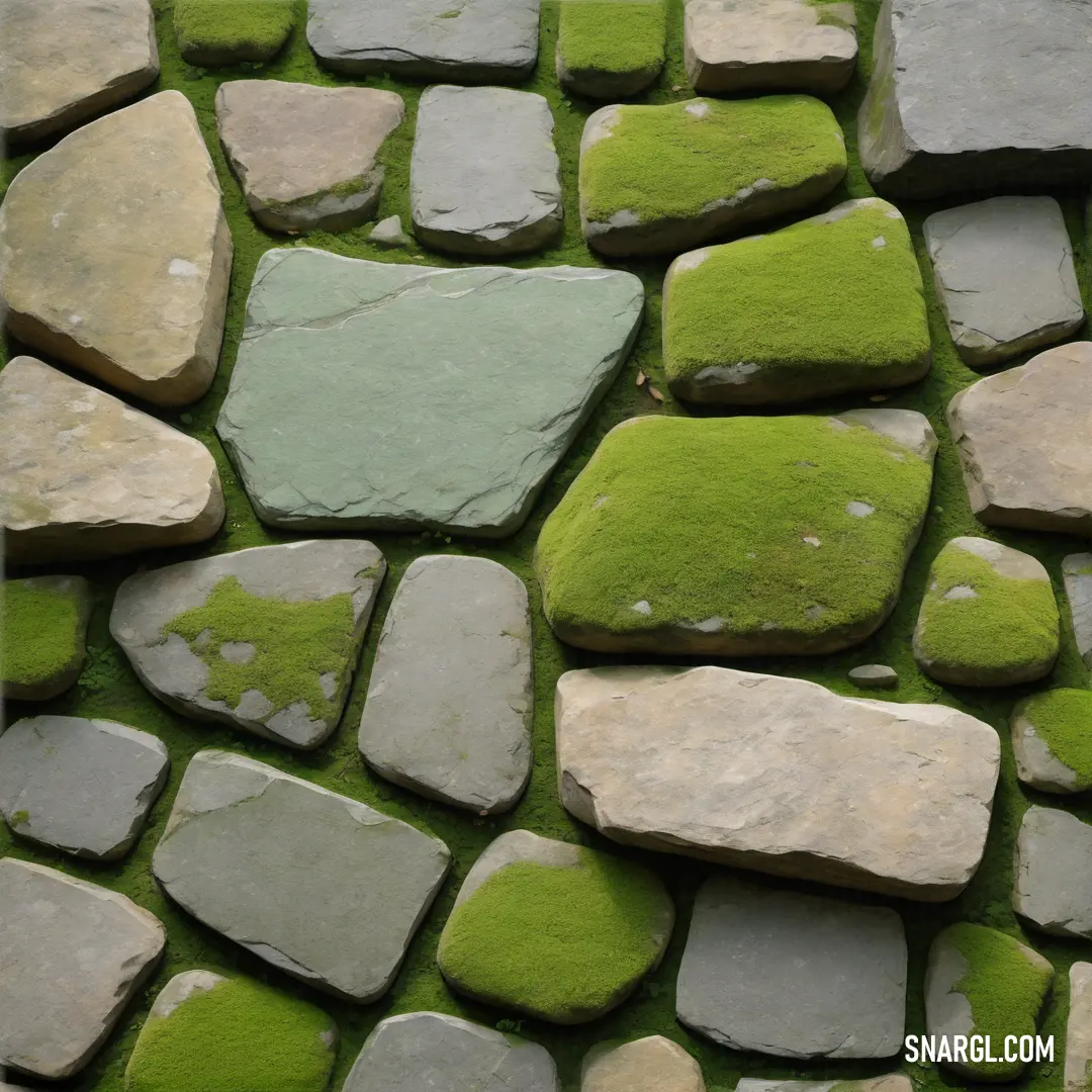 Stone wall with green moss growing on it's sides and a white cat on top of it. Color CMYK 25,0,75,44.