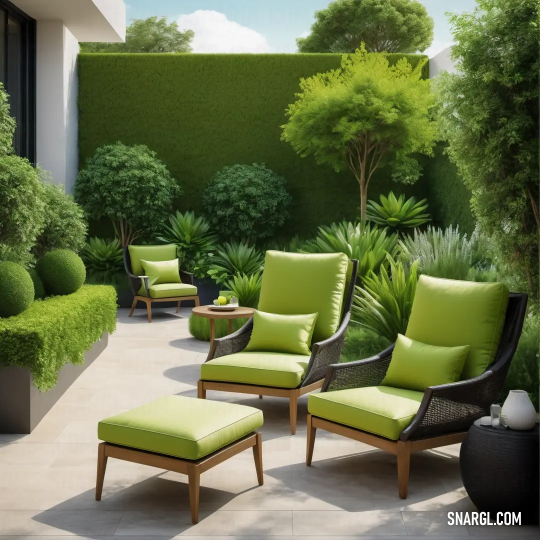 Olive color. Patio with green chairs and a green wall and trees in the background