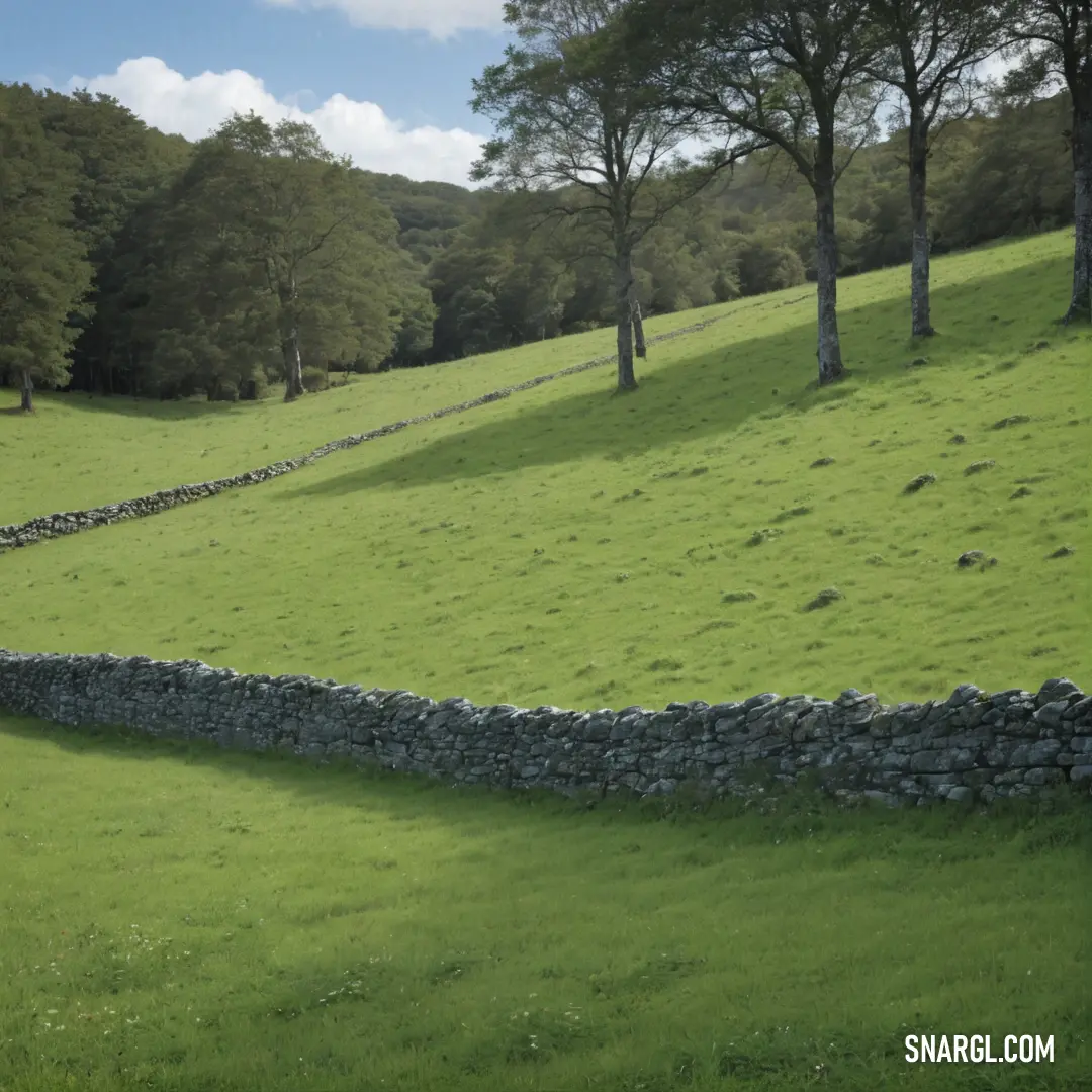 Stone wall and a grassy field with trees in the background. Example of Olivine color.