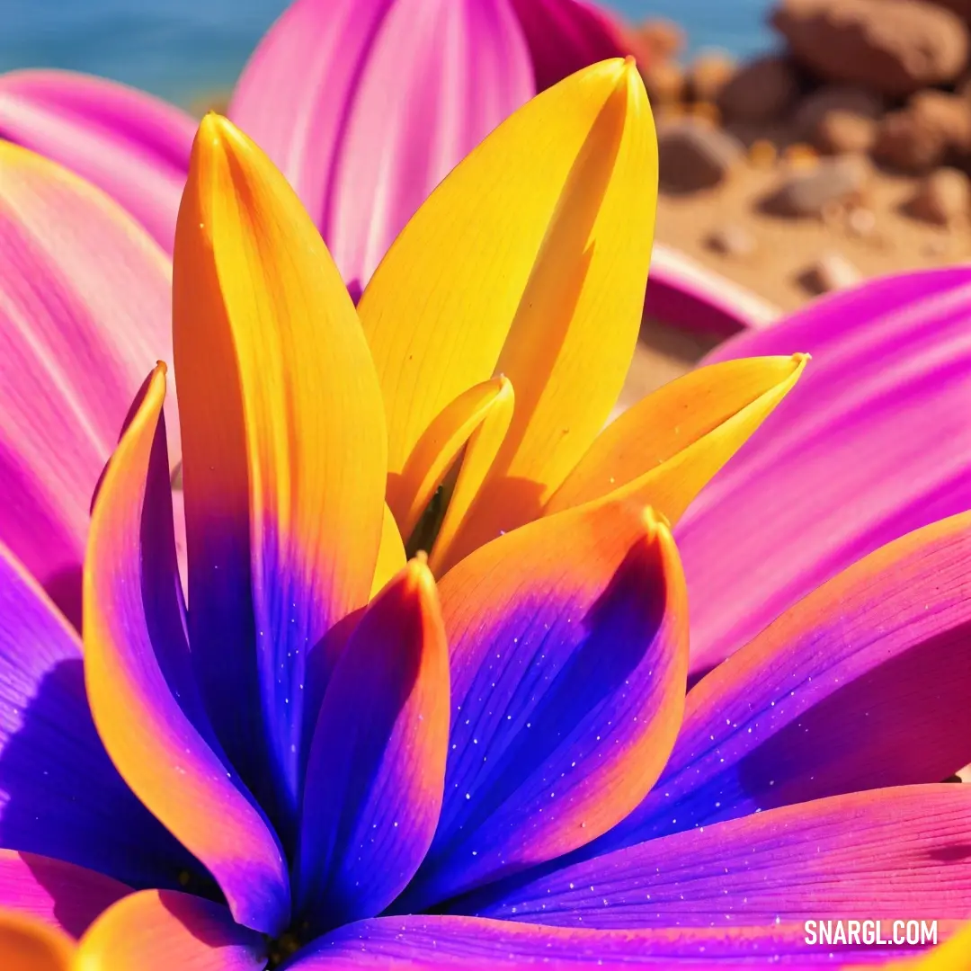 Close up of a flower with water in the background and rocks in the background with a blue sky