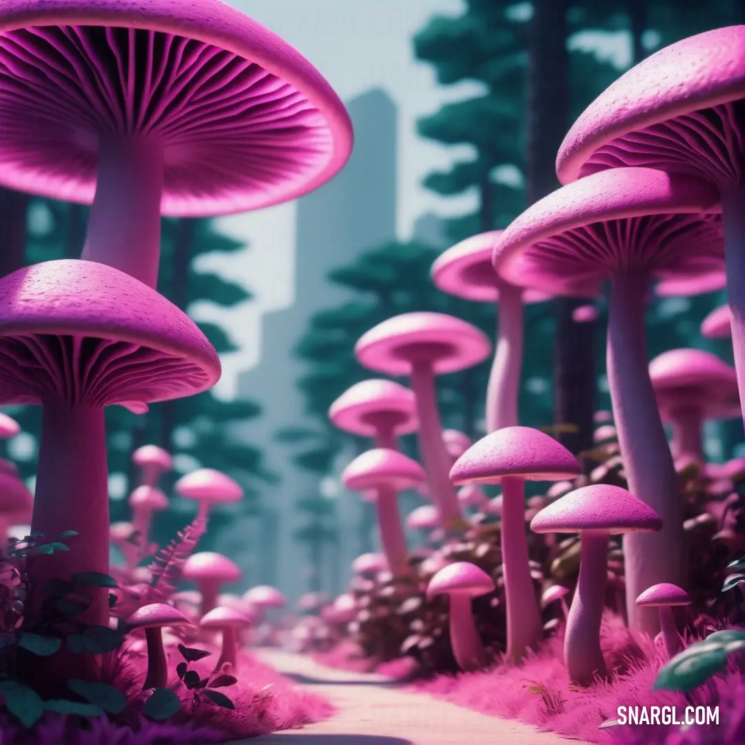 Bunch of pink mushrooms in a forest with a path leading to them and a building in the background. Example of #DA70D6 color.