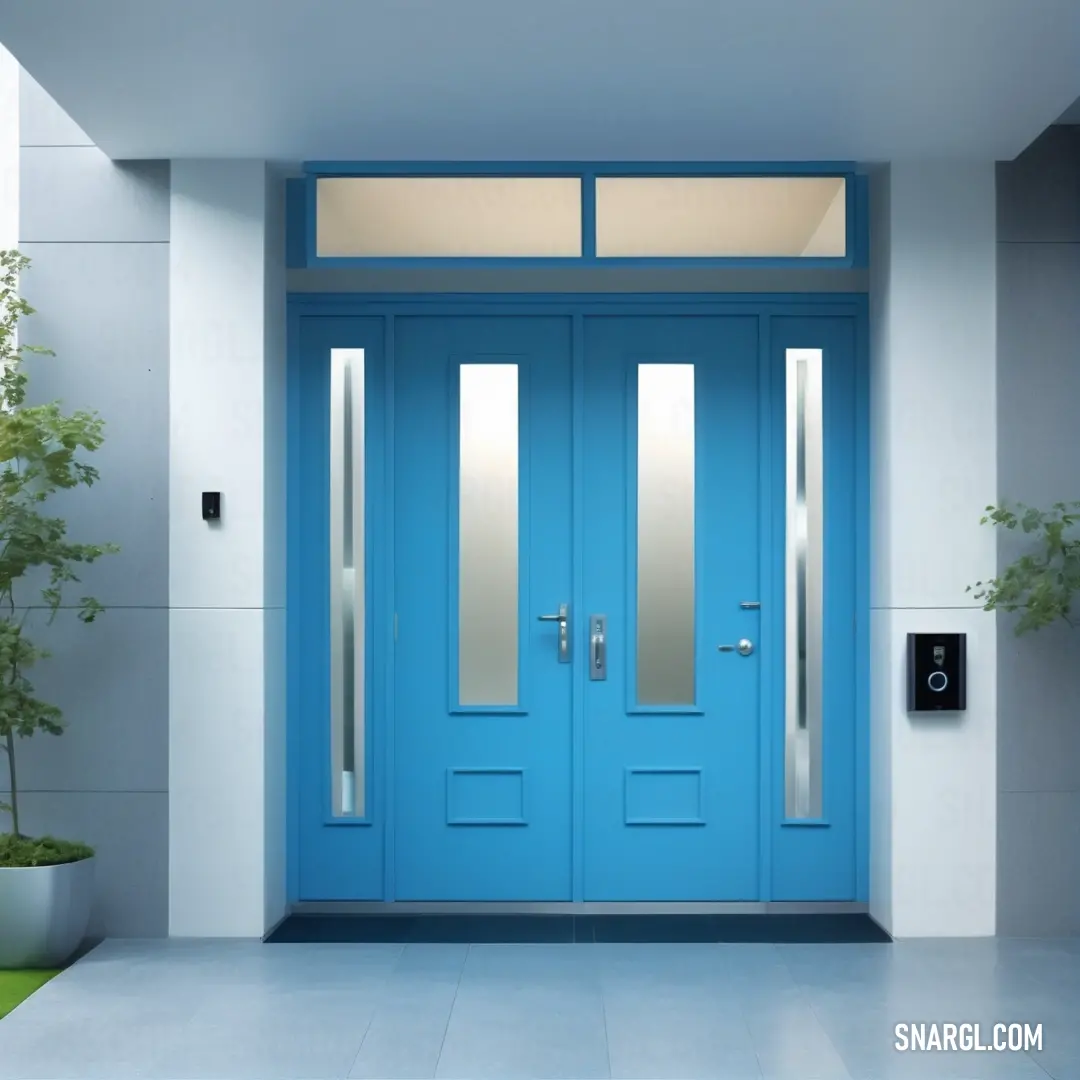 Pacific Blue color. Blue door with two mirrors on it in a room with a plant and potted plant on the side