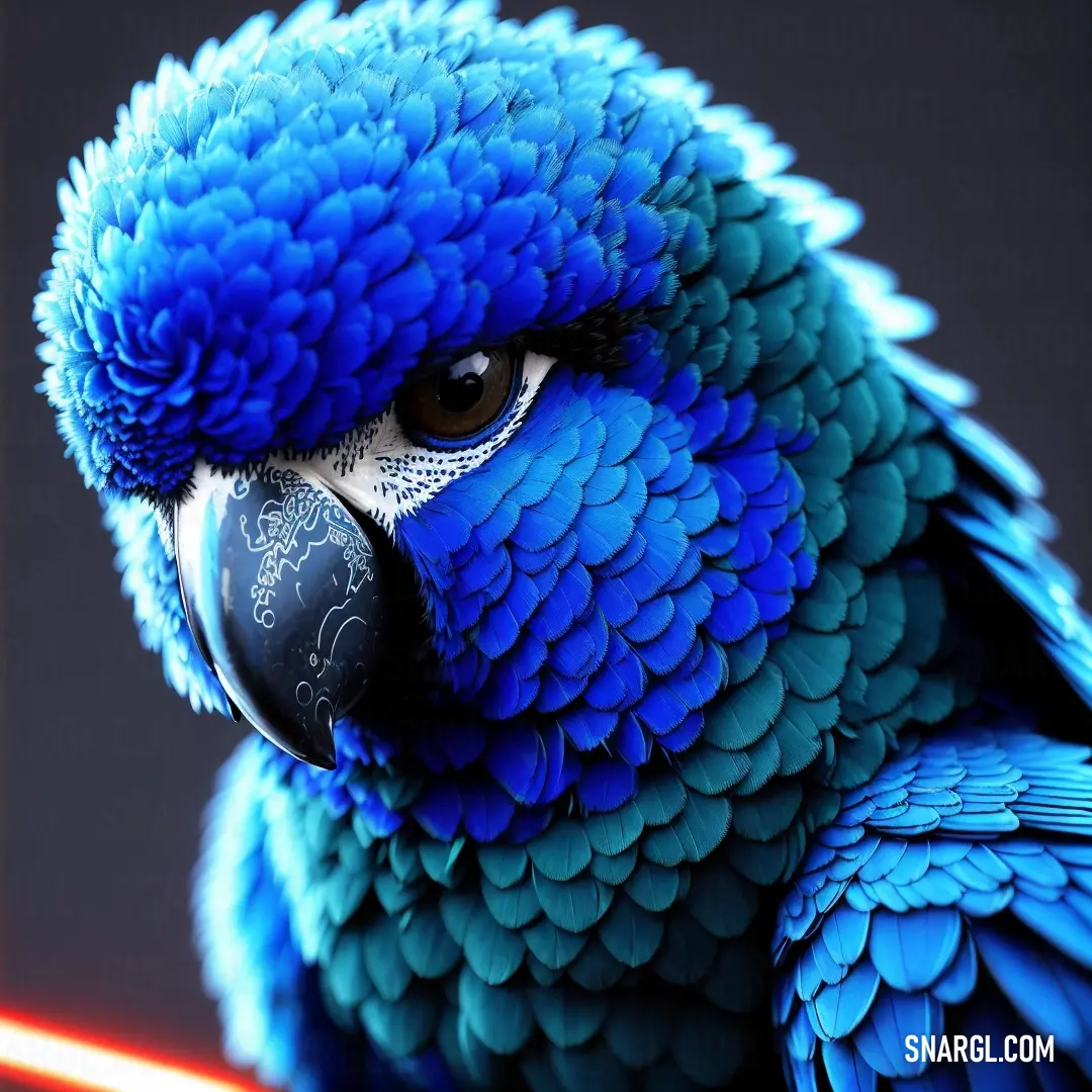 Blue parrot with a black eye and a red light behind it's head and a black background. Color RGB 39,59,226.