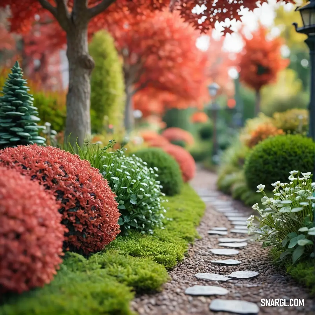 Pathway with a lot of trees and bushes on both sides of it. Example of Pale carmine color.