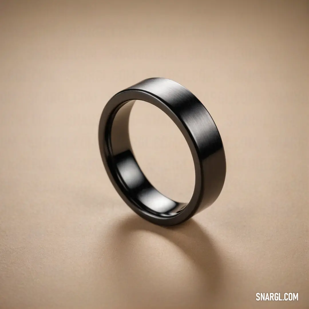 A sleek black ring with a finely defined center rests elegantly on a light beige surface, casting a shadow that adds dimension and depth. The subtle color #DDADAF enriches the arrangement, drawing the eye to its refined form.