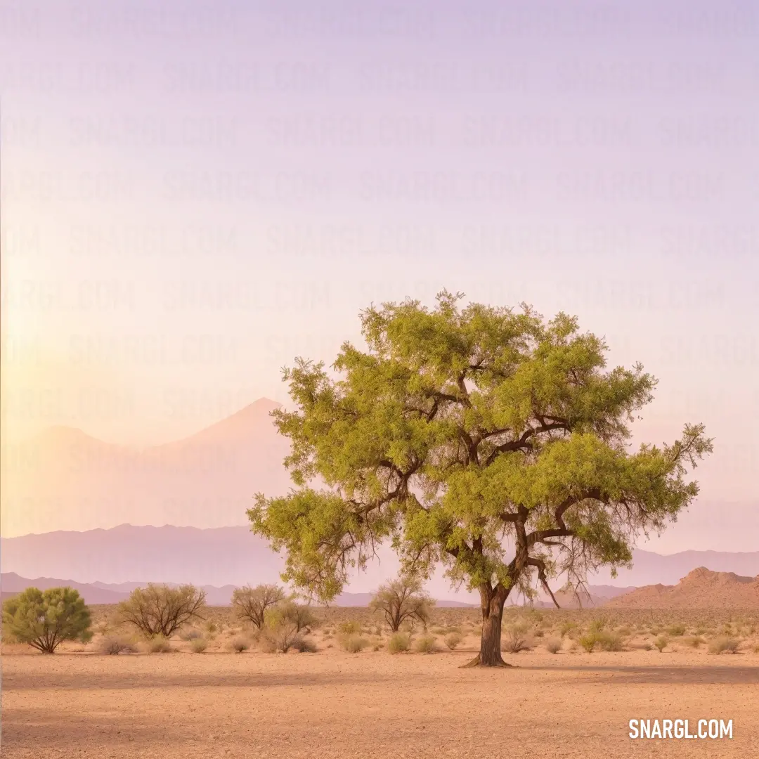 A lone tree stands tall in the center of a vast desert plain, with distant mountains creating a dramatic backdrop. The warm, earthy pale chestnut color of the landscape conveys the strength and isolation of this desert scene.