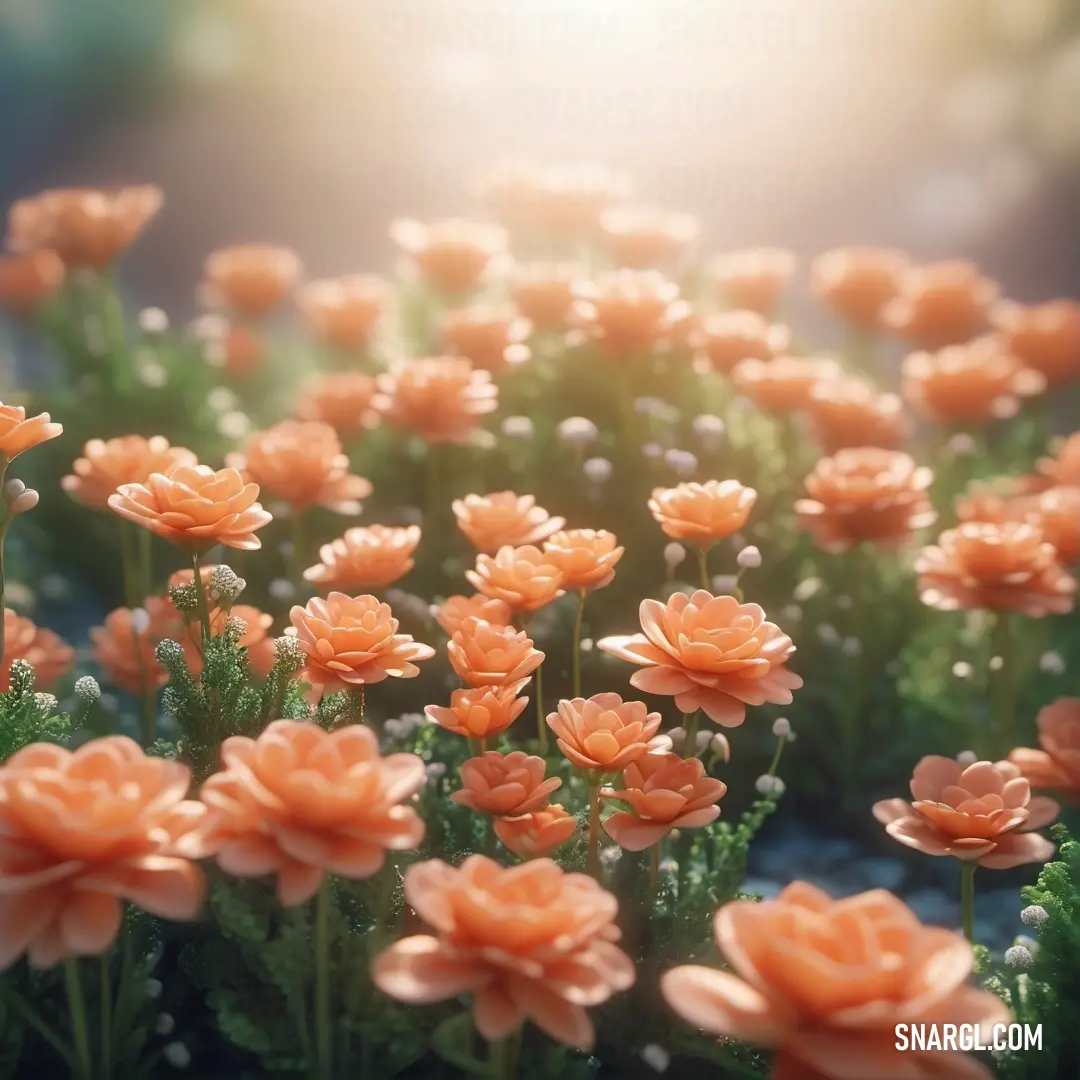 Bunch of flowers that are in the grass together with the sun shining through the background. Color #DA8A67.