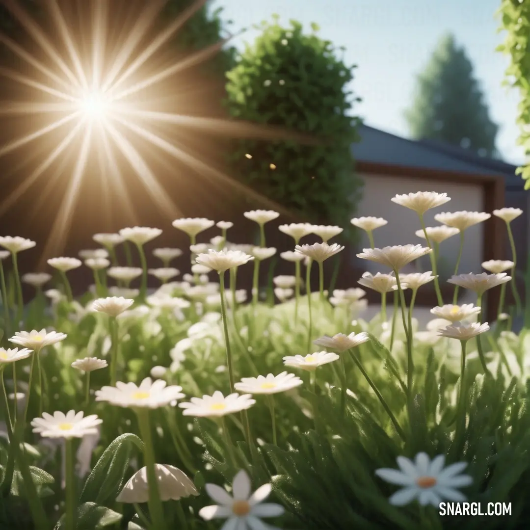 A serene field of delicate daisies stretches across the foreground, with the sunlight filtering through lush trees and shrubs, casting a warm, golden glow. A charming house peeks from behind the vibrant greenery, offering a peaceful retreat in nature.