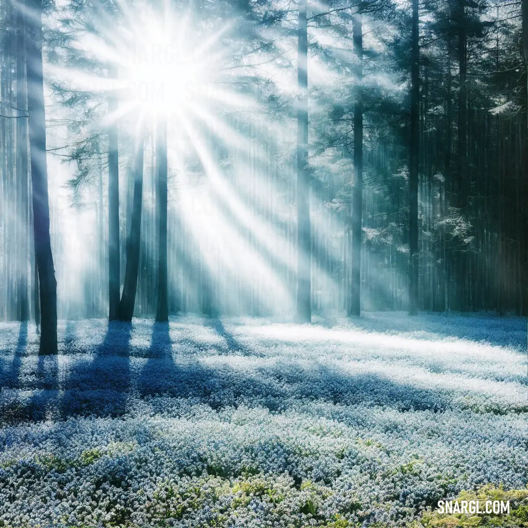 Sunbeam shines through the trees in a forest filled with blue flowers and grass in the foreground
