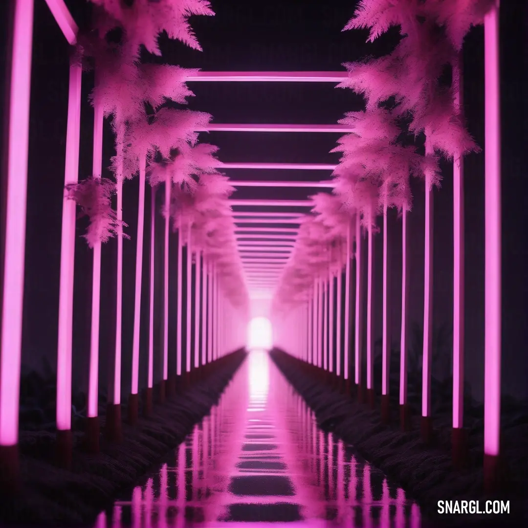 Tunnel with palm trees and pink lights in the middle of it and a light at the end of the tunnel. Example of Pale magenta color.