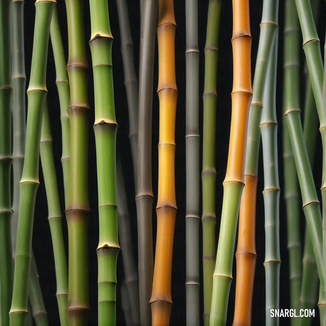 An intricate close-up of vibrant bamboo sticks with striking yellow tips contrasted against lush green stems possessing subtle brown hues. The colors merge beautifully, creating a feast for the eyes that showcases nature's artistry.